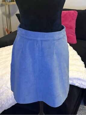 Abercrombie & Fitch Light Blue Mini Skirt